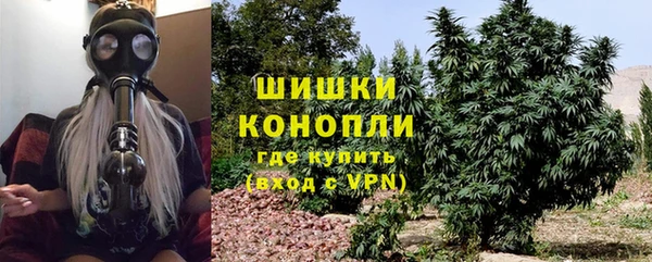 сатива Верея