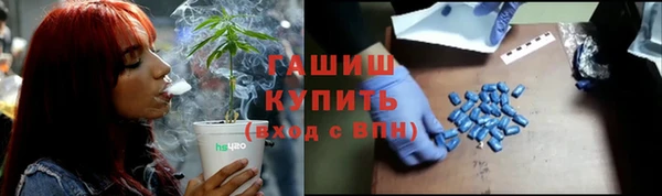 a pvp Бородино