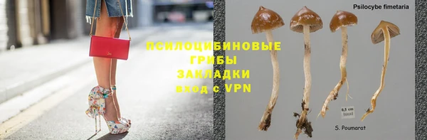 a pvp Бородино