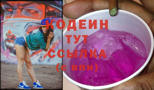 a pvp Бородино