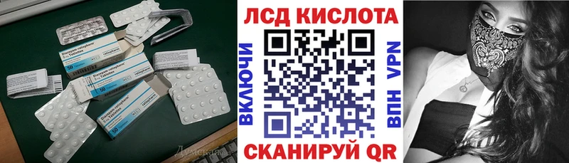 дарнет шоп  Владивосток  Лсд 25 экстази кислота 